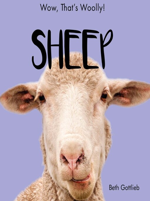 Cover image for Sheep